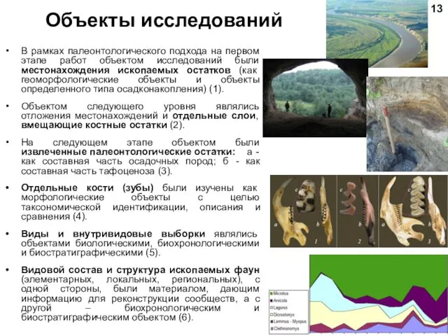 Объекты исследований В рамках палеонтологического подхода на первом этапе работ