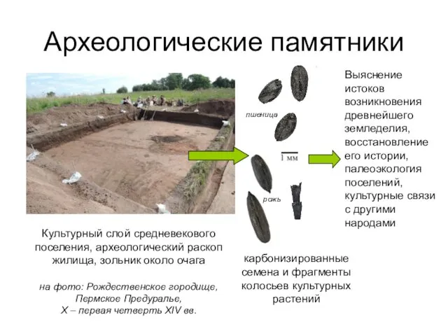 Археологические памятники Культурный слой средневекового поселения, археологический раскоп жилища, зольник около очага на