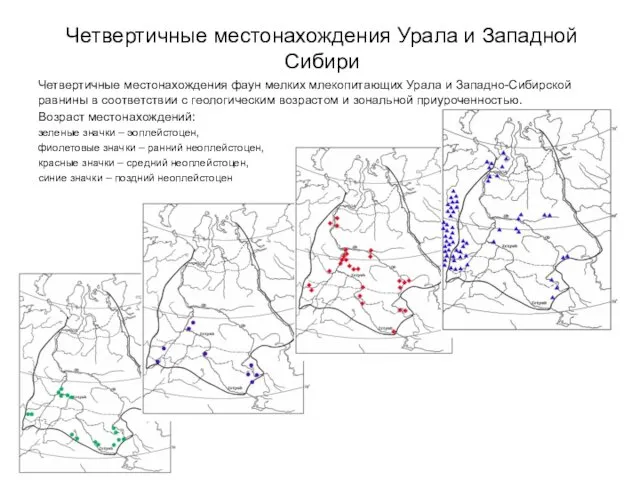 Четвертичные местонахождения Урала и Западной Сибири Четвертичные местонахождения фаун мелких млекопитающих Урала и