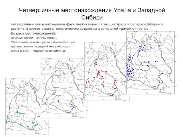 Четвертичные местонахождения Урала и Западной Сибири Четвертичные местонахождения фаун мелких