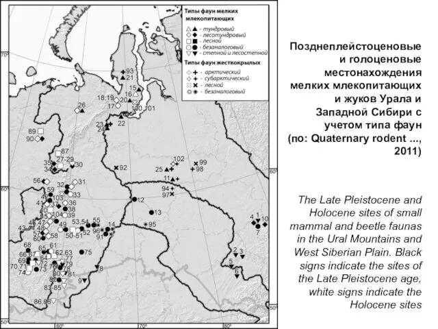 Позднеплейстоценовые и голоценовые местонахождения мелких млекопитающих и жуков Урала и Западной Сибири с