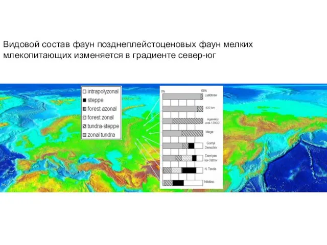 Видовой состав фаун позднеплейстоценовых фаун мелких млекопитающих изменяется в градиенте север-юг