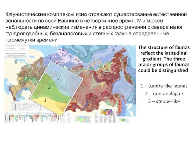 The structure of faunas reflect the latitudinal gradient. The three major groups of