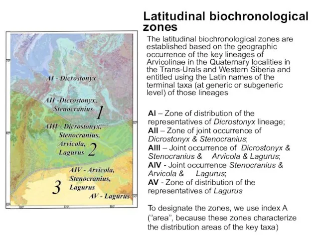 The latitudinal biochronological zones are established based on the geographic occurrence of the