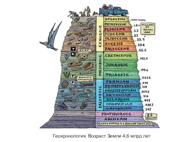 Геохронология. Возраст Земли 4,6 млрд лет