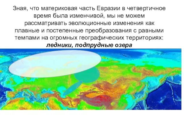 Зная, что материковая часть Евразии в четвертичное время была изменчивой,