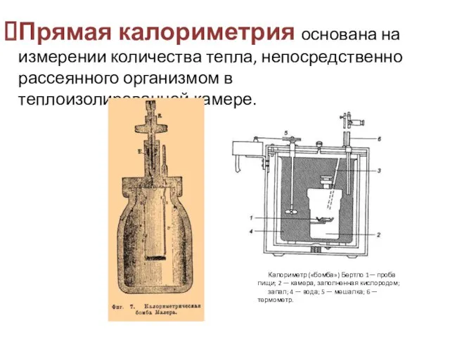 Прямая калориметрия основана на измерении количества тепла, непосредственно рассеянного организмом