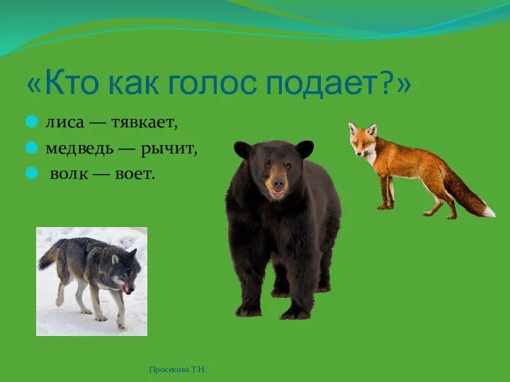 «Кто как голос подает?» лиса — тявкает, медведь — рычит, волк — воет. Просекова Т.Н.