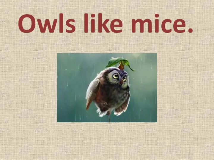 Owls like mice.
