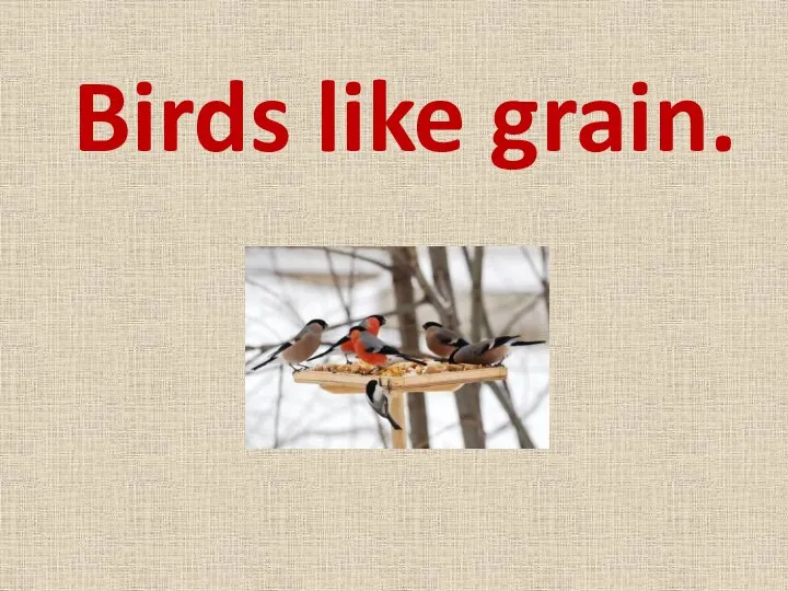 Birds like grain.