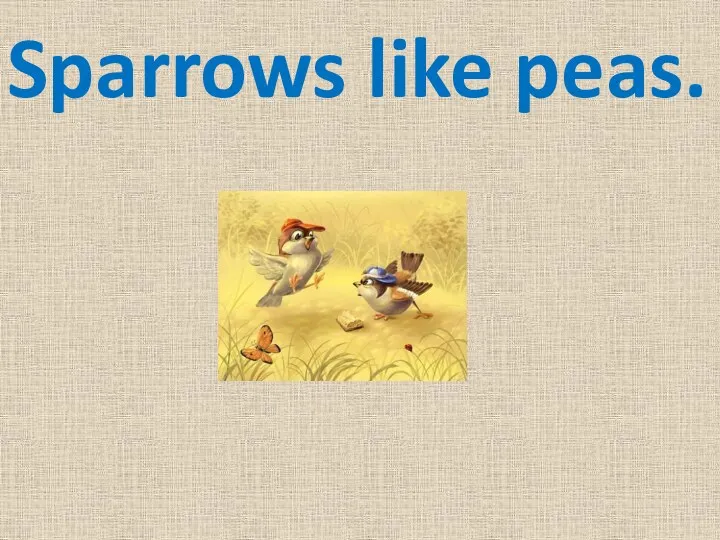 Sparrows like peas.