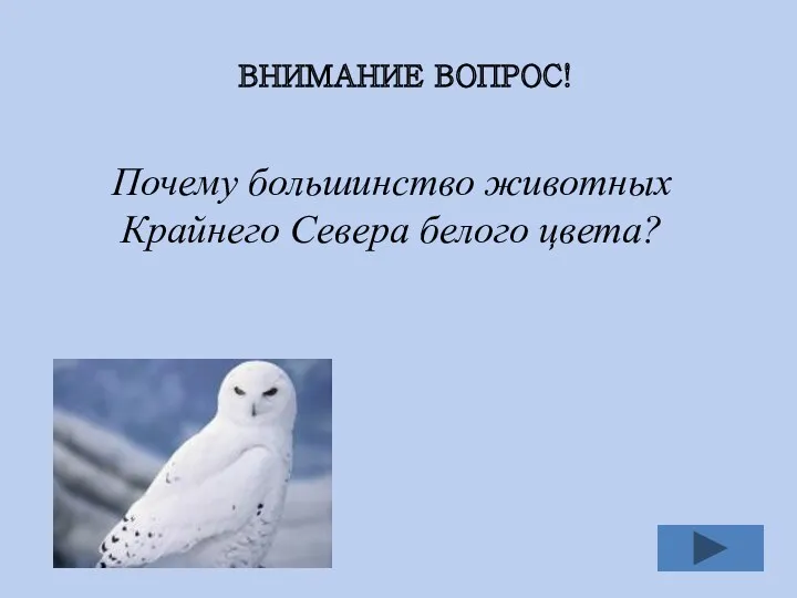 ВНИМАНИЕ ВОПРОС! Почему большинство животных Крайнего Севера белого цвета? Животное