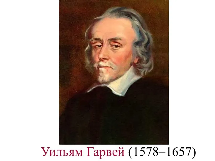 Уильям Гарвей (1578–1657)