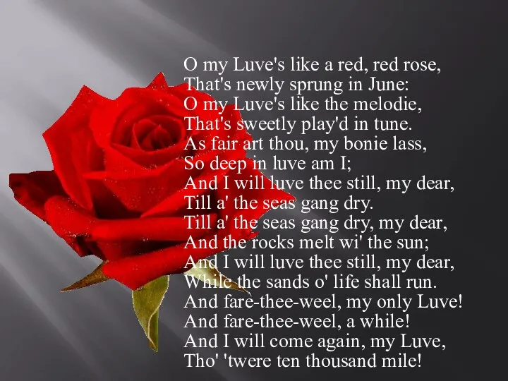 O my Luve's like a red, red rose, That's newly sprung in June: