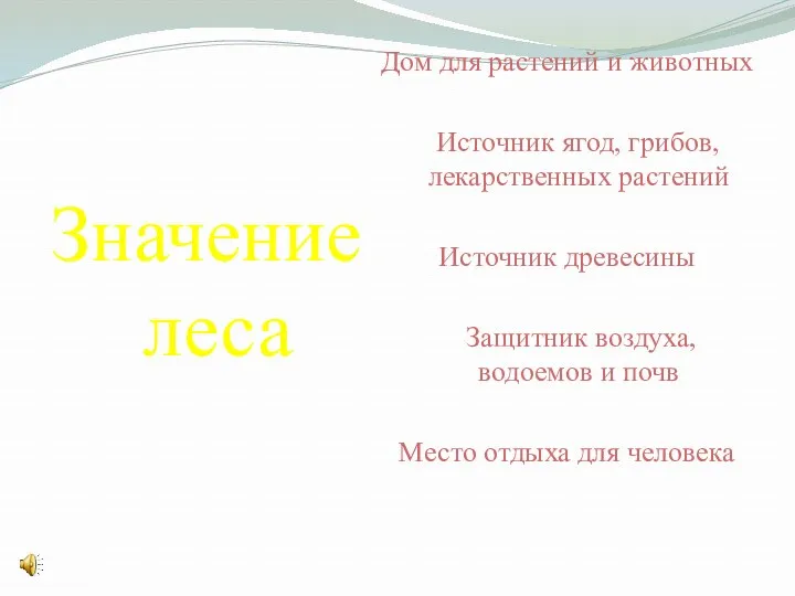 Значение леса Дом для растений и животных Источник ягод, грибов,