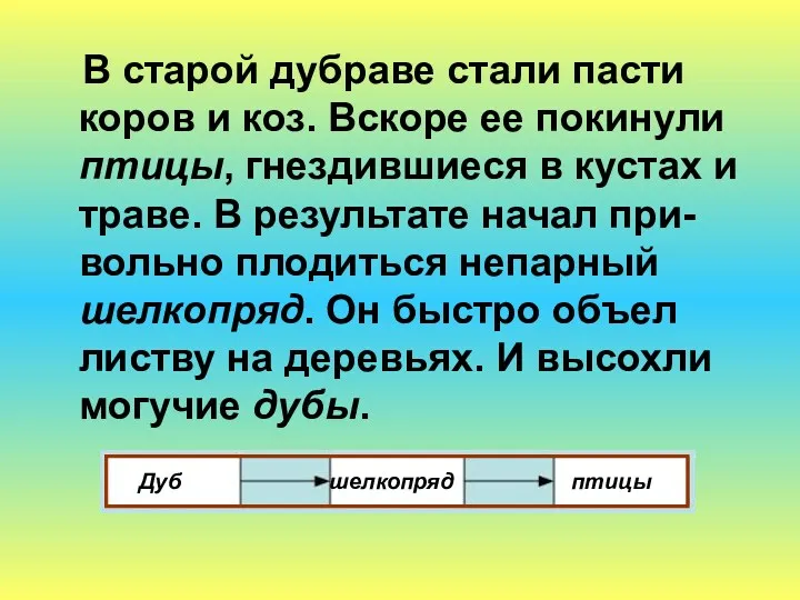 В старой дубраве стали пасти коров и коз. Вскоре ее