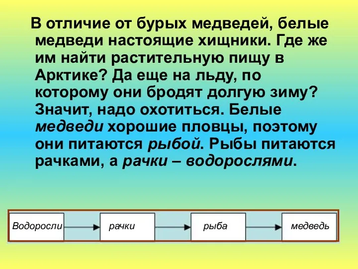 В отличие от бурых медведей, белые медведи настоящие хищники. Где