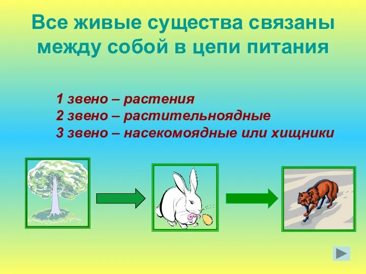 Все живые существа связаны между собой в цепи питания 1