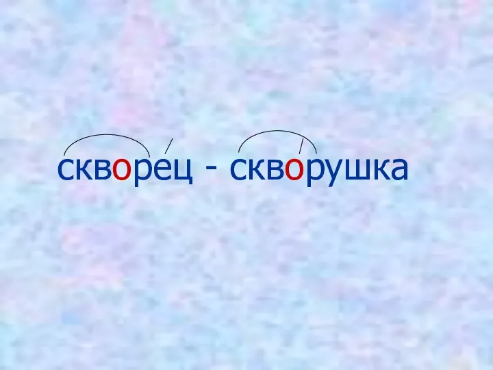 скворец - скворушка