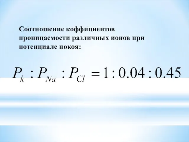 Соотношение коффициентов проницаемости различных ионов при потенциале покоя: