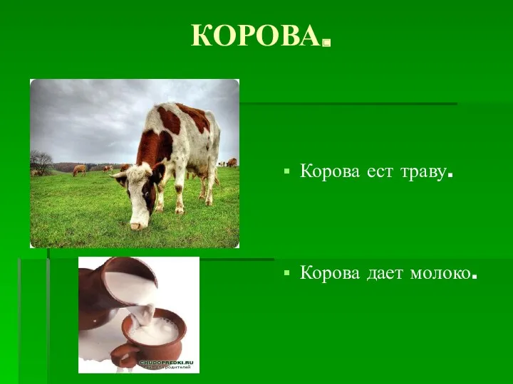 КОРОВА. Корова ест траву. Корова дает молоко.