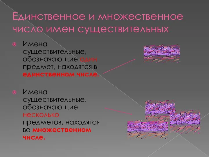 Единственное и множественное число имен существительных Имена существительные, обозначающие один