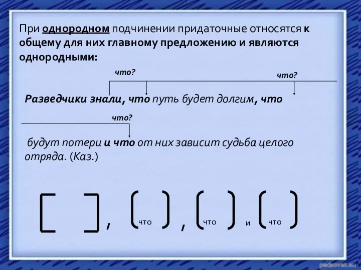 При однородном подчинении придаточные относятся к общему для них главному