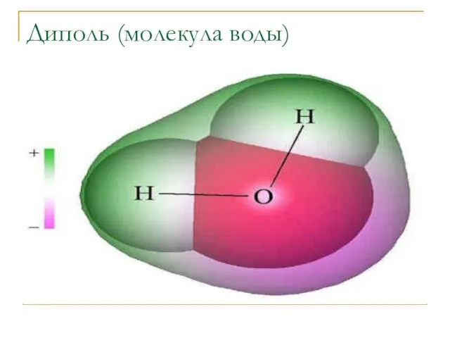 Диполь (молекула воды)