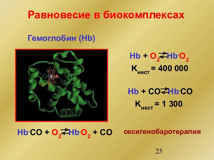 Равновесие в биокомплексах Гемоглобин (Hb) Hb + O2 Hb.O2 Hb