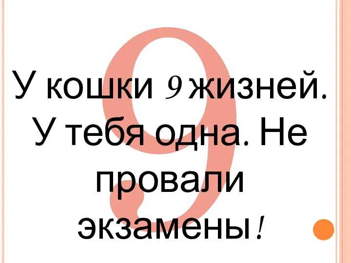 9 У кошки 9 жизней. У тебя одна. Не провали экзамены!