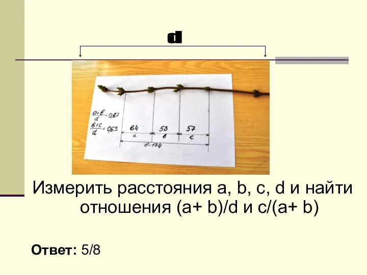 Измерить расстояния a, b, c, d и найти отношения (a+ b)/d и c/(a+ b) Ответ: 5/8
