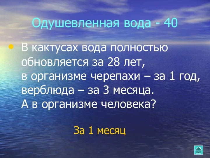 Одушевленная вода - 40 В кактусах вода полностью обновляется за