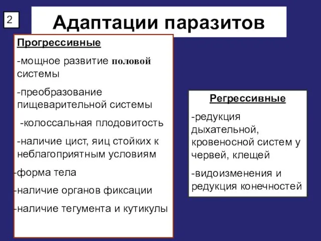 Адаптации паразитов Прогрессивные -мощное развитие половой системы -преобразование пищеварительной системы