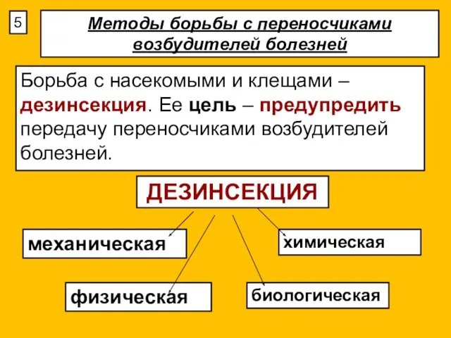 Методы борьбы с переносчиками возбудителей болезней Борьба с насекомыми и