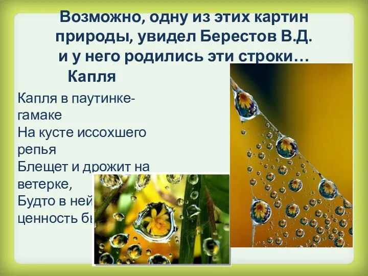 Возможно, одну из этих картин природы, увидел Берестов В.Д. и