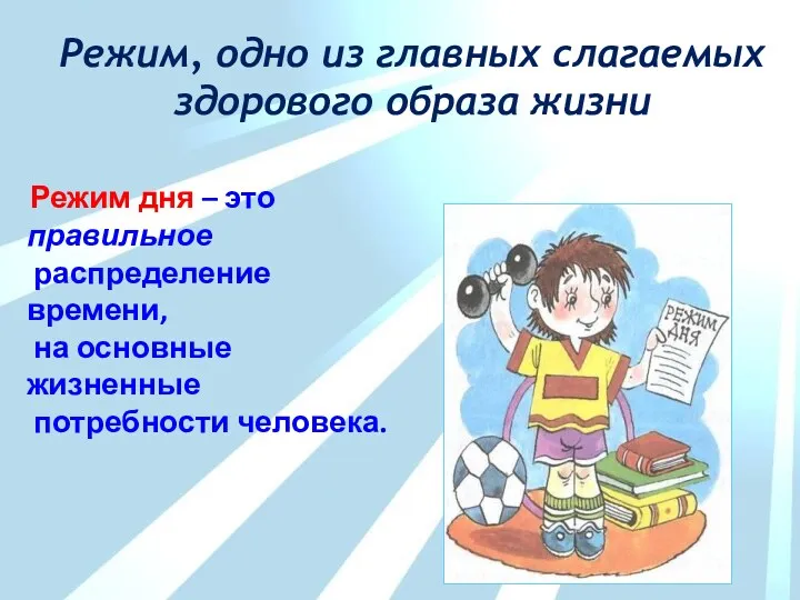 Режим, одно из главных слагаемых здорового образа жизни Режим дня