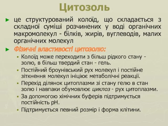 Цитозоль це структурований колоїд, що складається з складної суміші розчинених