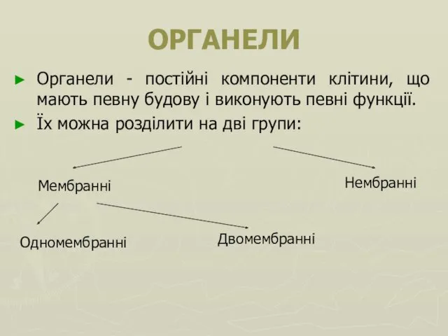 ОРГАНЕЛИ Органели - постійні компоненти клітини, що мають певну будову