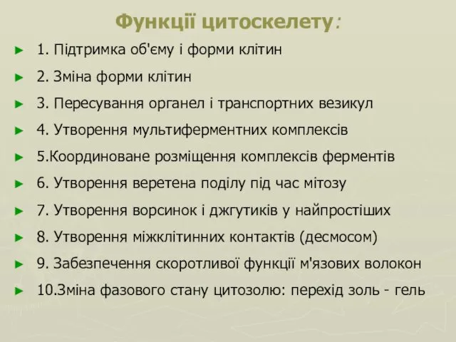 Функції цитоскелету: 1. Підтримка об'єму і форми клітин 2. Зміна