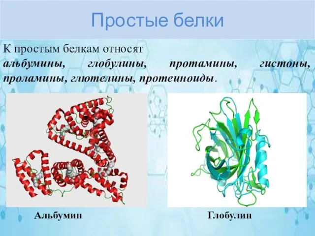 Простые белки К простым белкам относят альбумины, глобулины, протамины, гистоны, проламины, глютелины, протеиноиды. Альбумин Глобулин