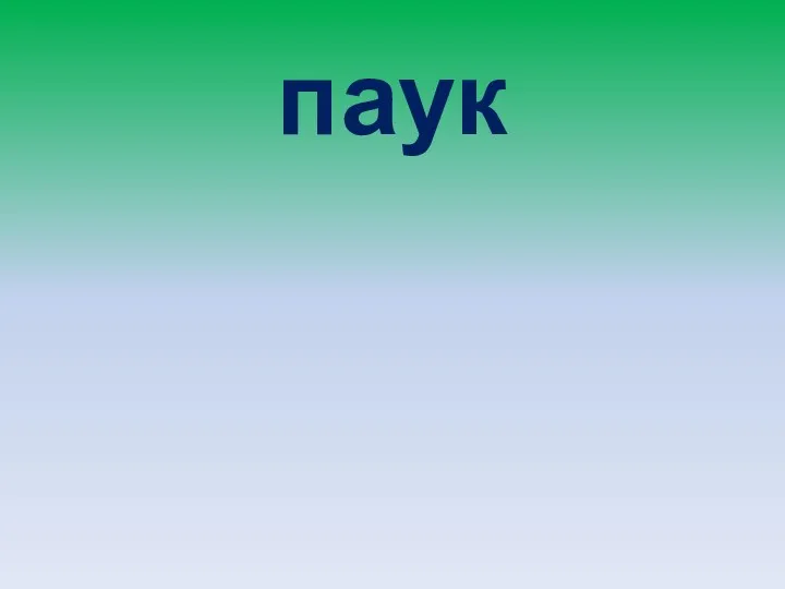 паук