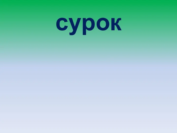 сурок