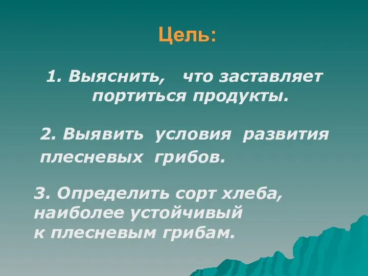 Цель: 1. Выяснить, что заставляет портиться продукты. 2. Выявить условия