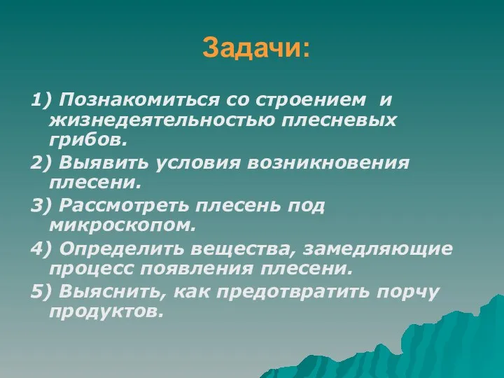 Задачи: 1) Познакомиться со строением и жизнедеятельностью плесневых грибов. 2)