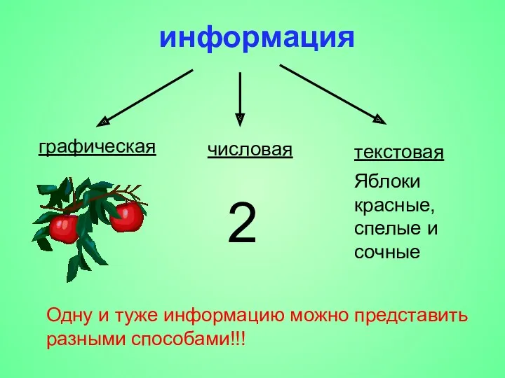 информация графическая текстовая числовая 2 Яблоки красные, спелые и сочные