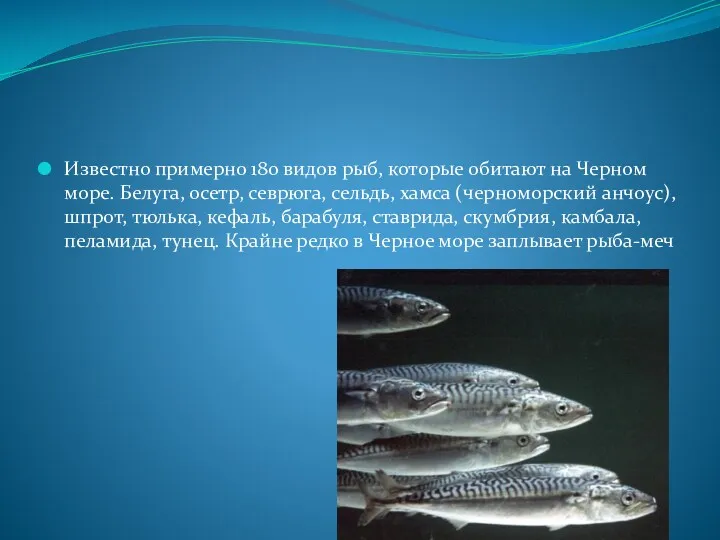 Известно примерно 180 видов рыб, которые обитают на Черном море.