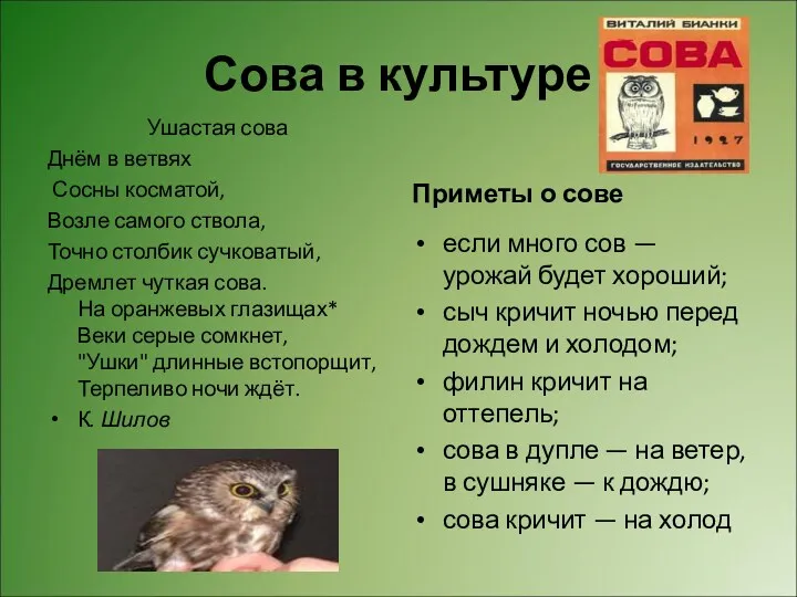 Сова в культуре Ушастая сова Днём в ветвях Сосны косматой, Возле самого ствола,