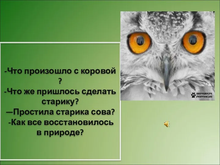 -Что произошло с коровой ? -Что же пришлось сделать старику? —Простила старика сова?