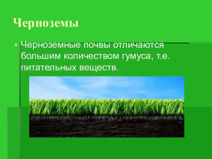 Черноземные почвы отличаются большим количеством гумуса, т.е. питательных веществ. Черноземы