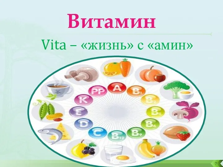 Витамин Vita – «жизнь» с «амин»